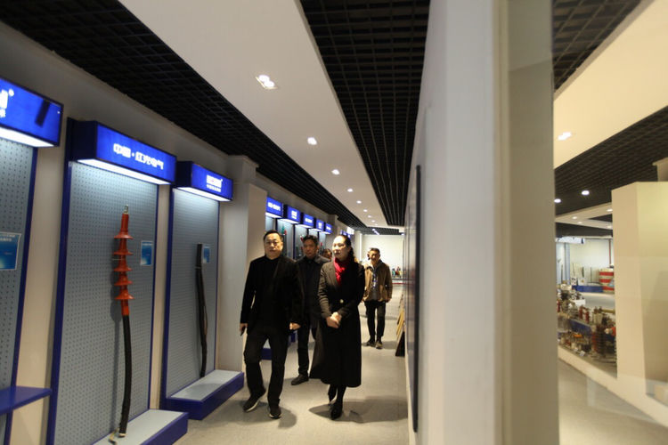 乐清市副市长陈微燕一行莅临欧博ABG电气集团考察调研